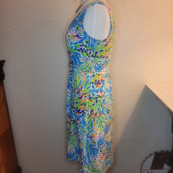 Lilly Pulitzer dress - Picture 5 of 10